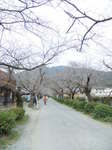 DSCF5130.JPG