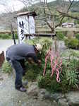 DSCF5140.JPG