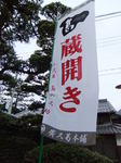 DSCF5152.JPG