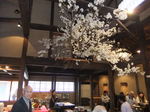 DSCF5156.JPG