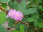 DSC_0010.jpg